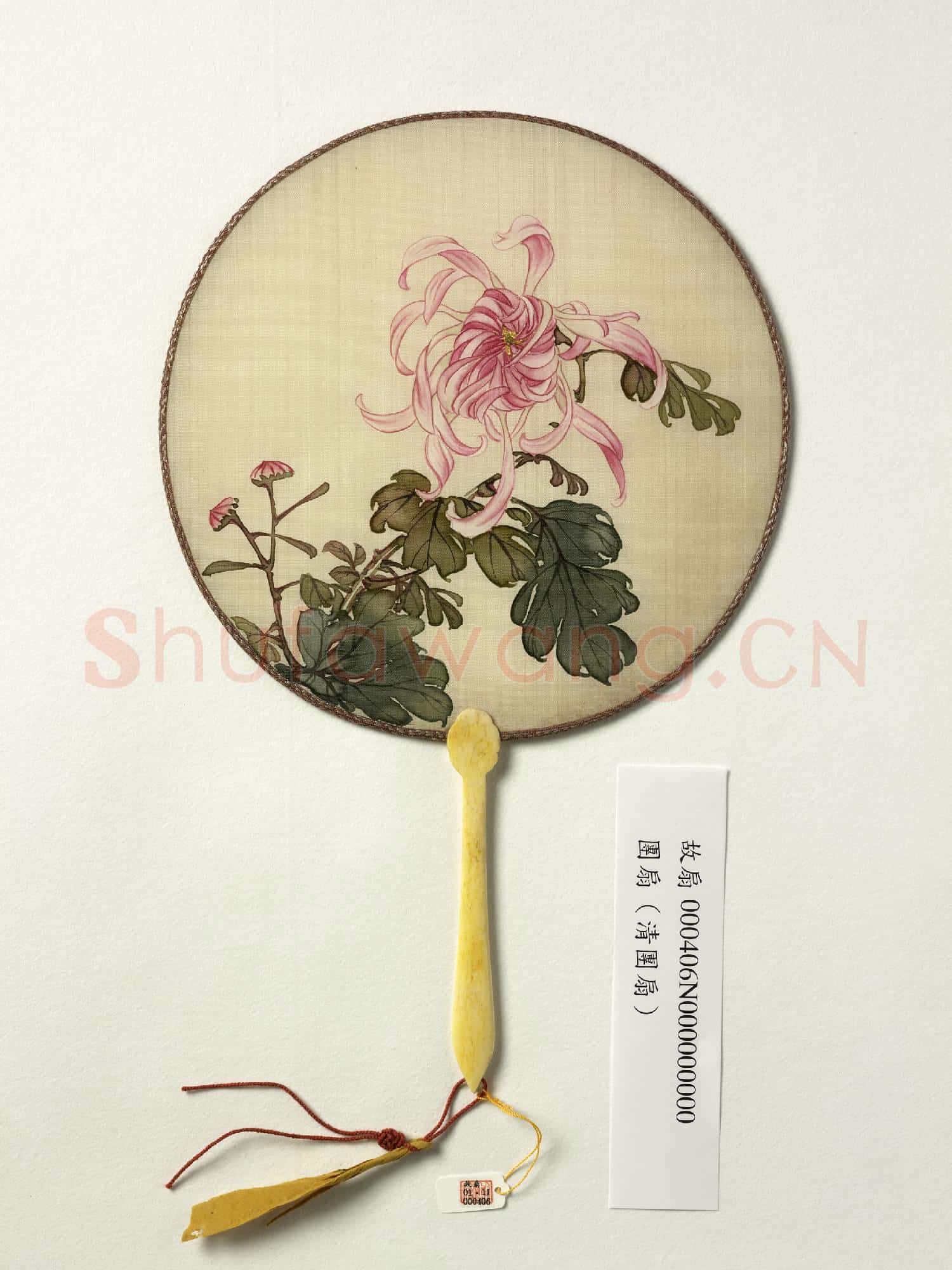 清人花卉 成扇
