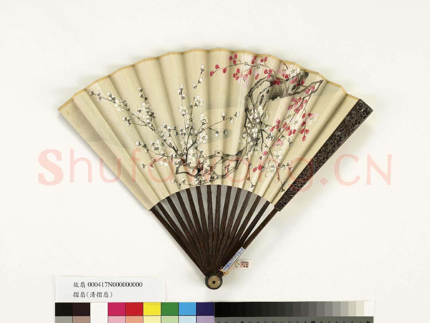 清人花卉 成扇