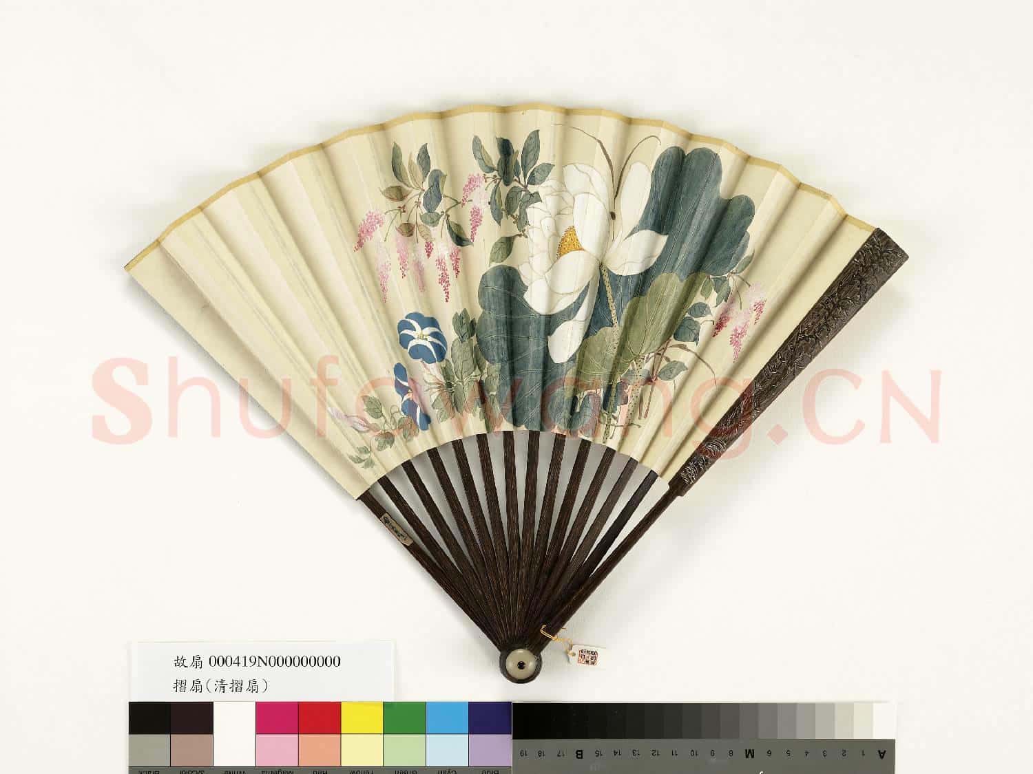 清人花卉 成扇
