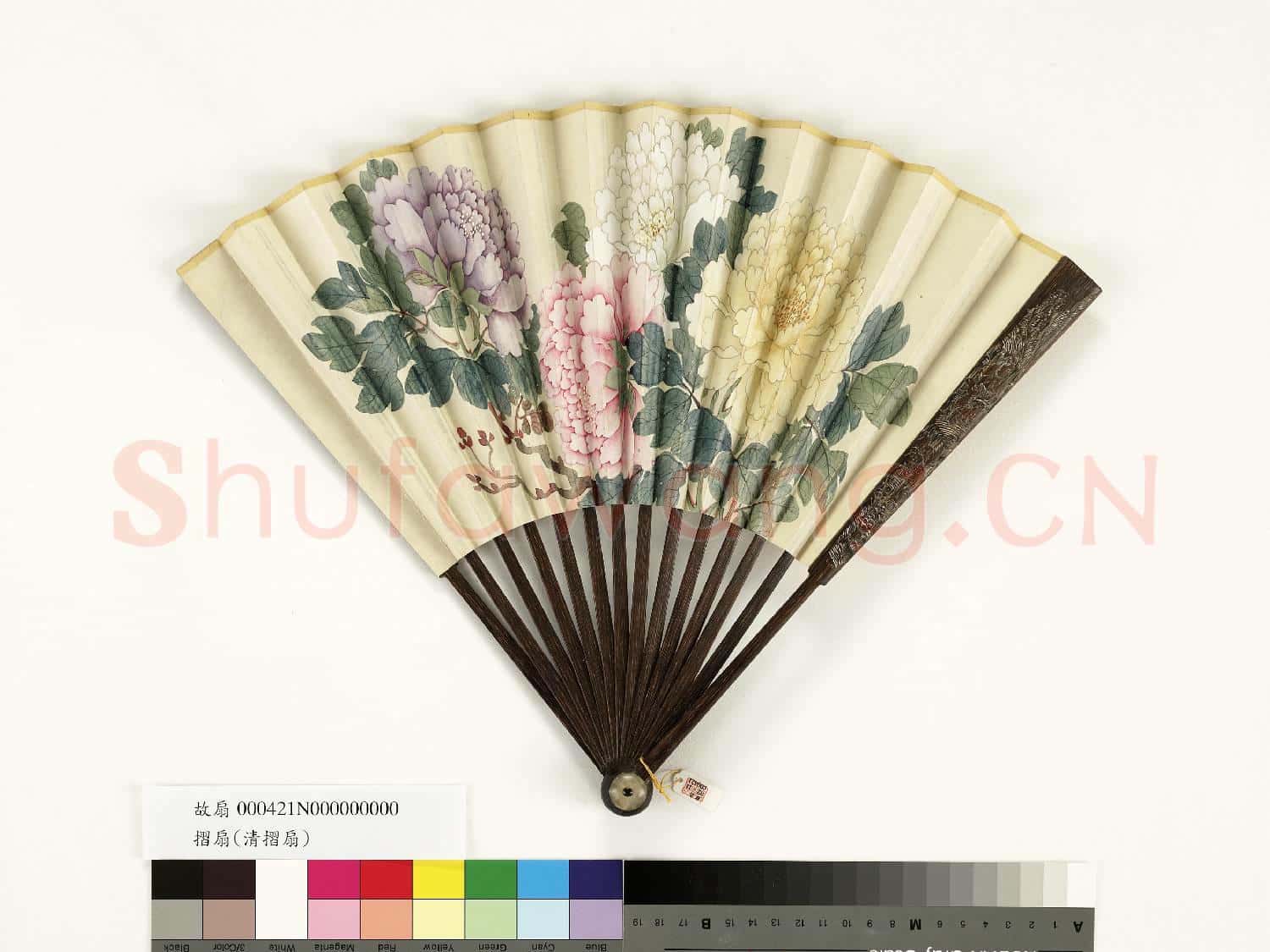 清人花卉 成扇