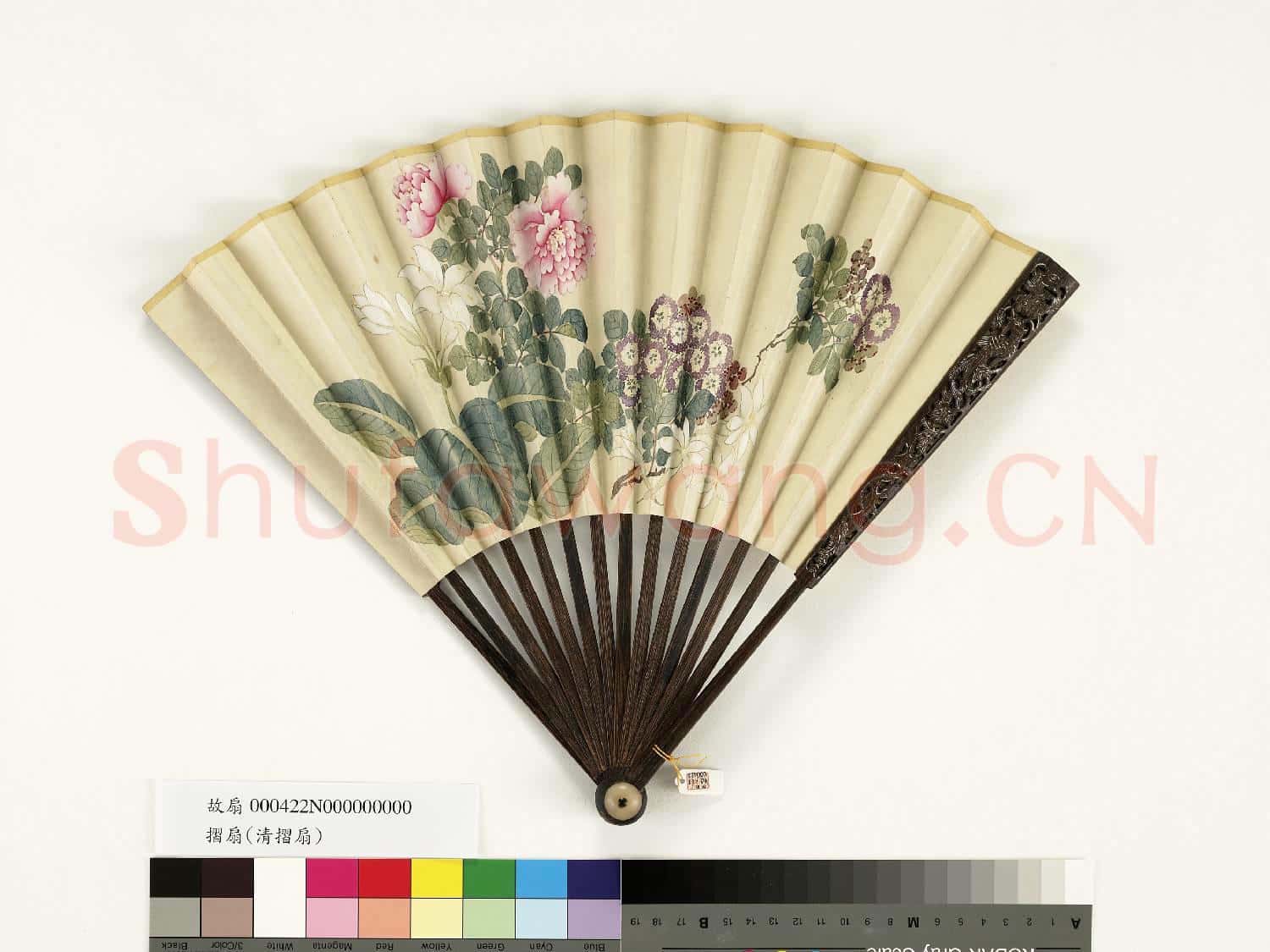 清人花卉 成扇