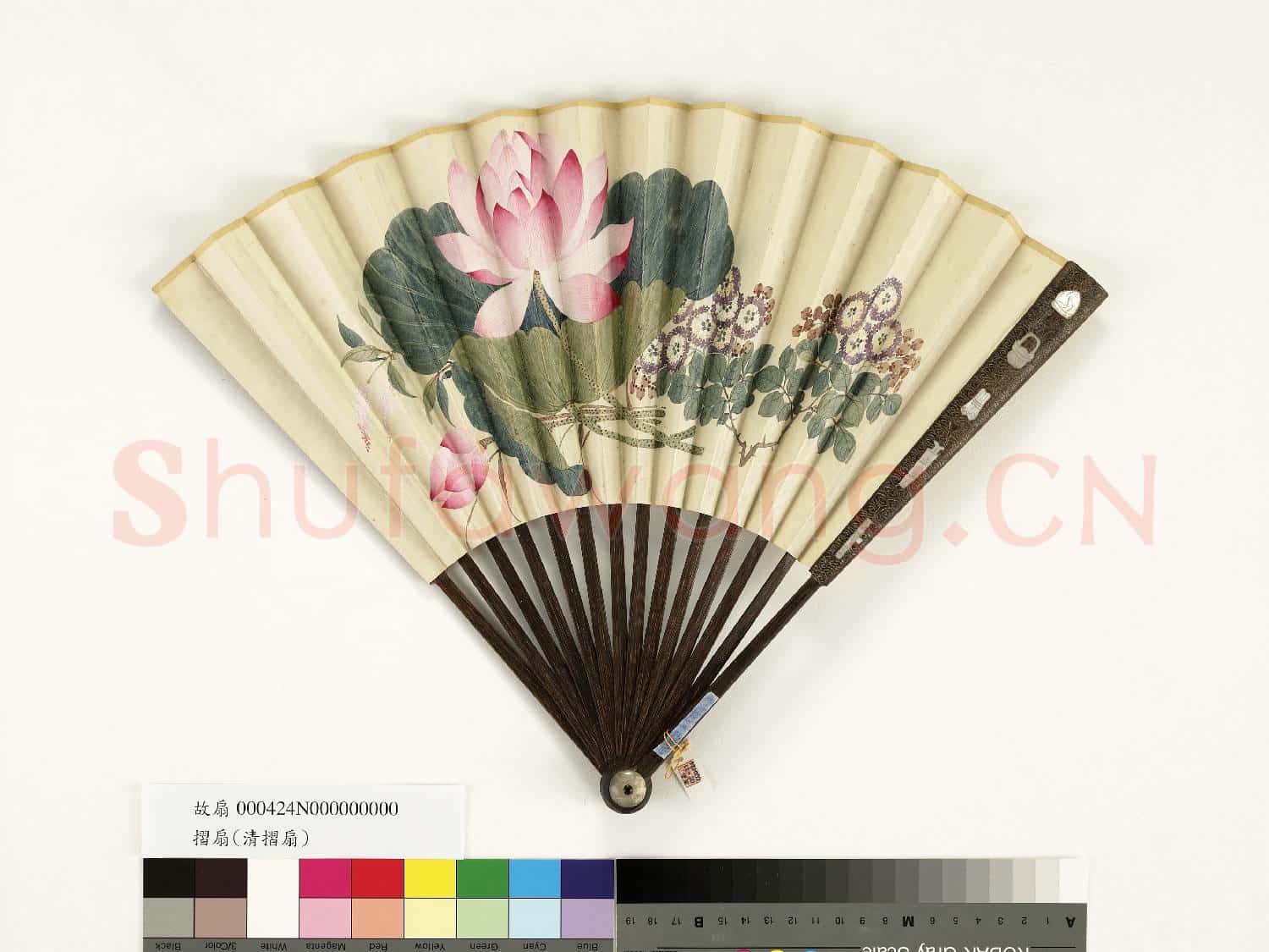 清人花卉 成扇