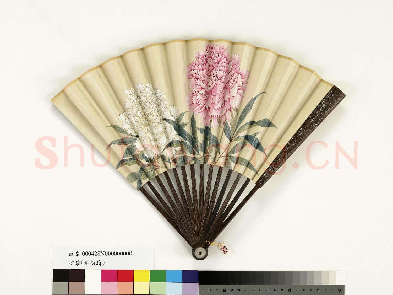 清人花卉 成扇