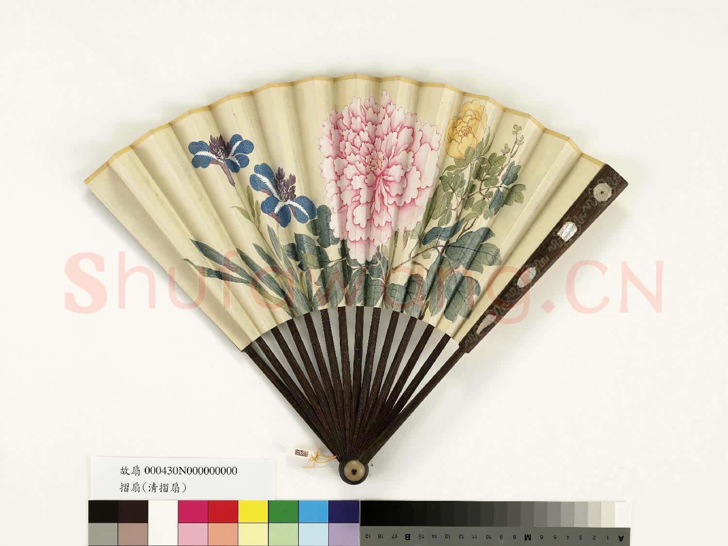 清人花卉 成扇
