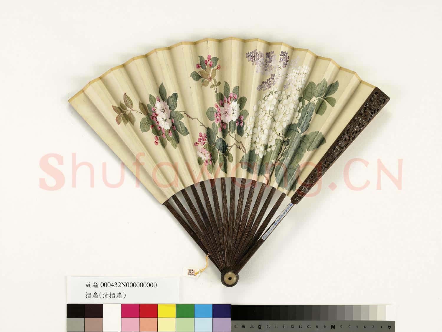 清人花卉 成扇