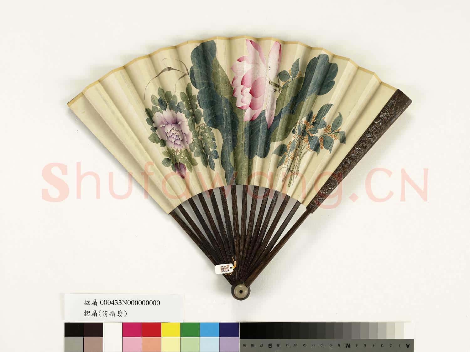 清人花卉 成扇
