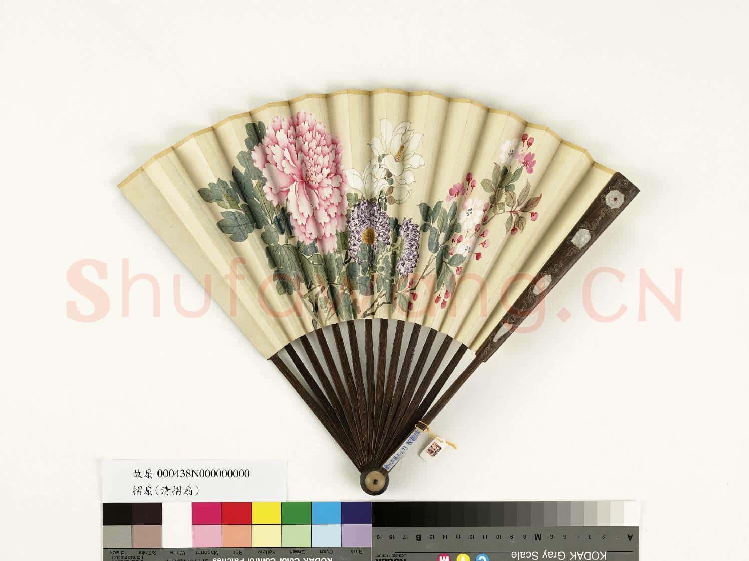清人花卉 成扇
