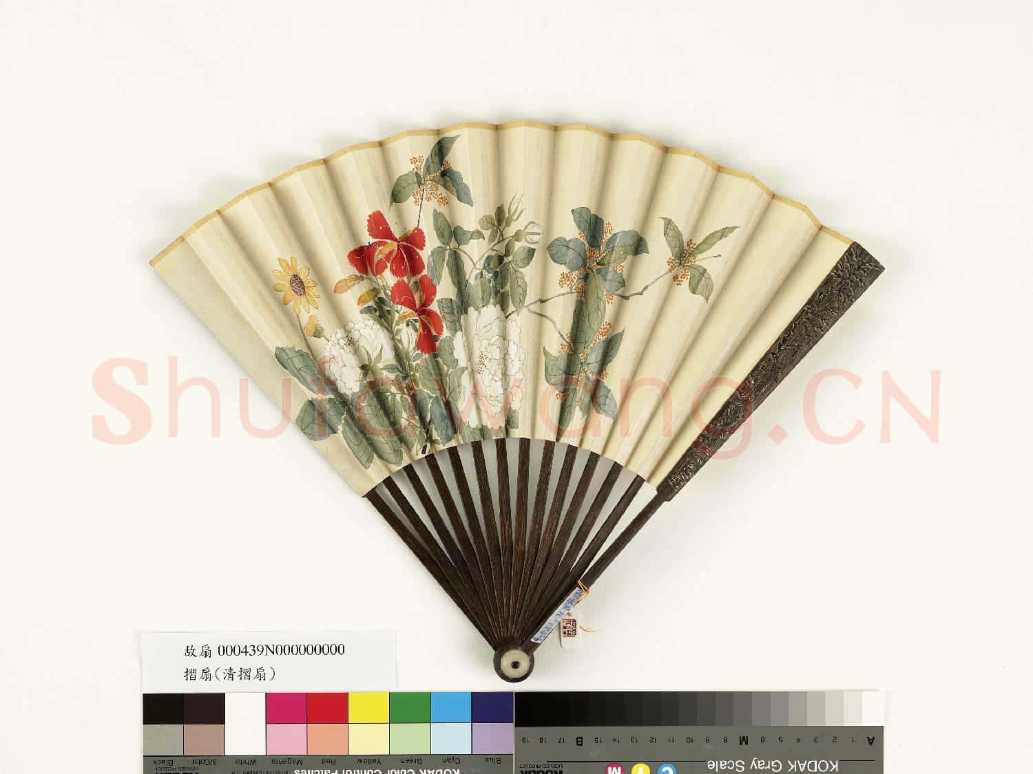 清人花卉 成扇