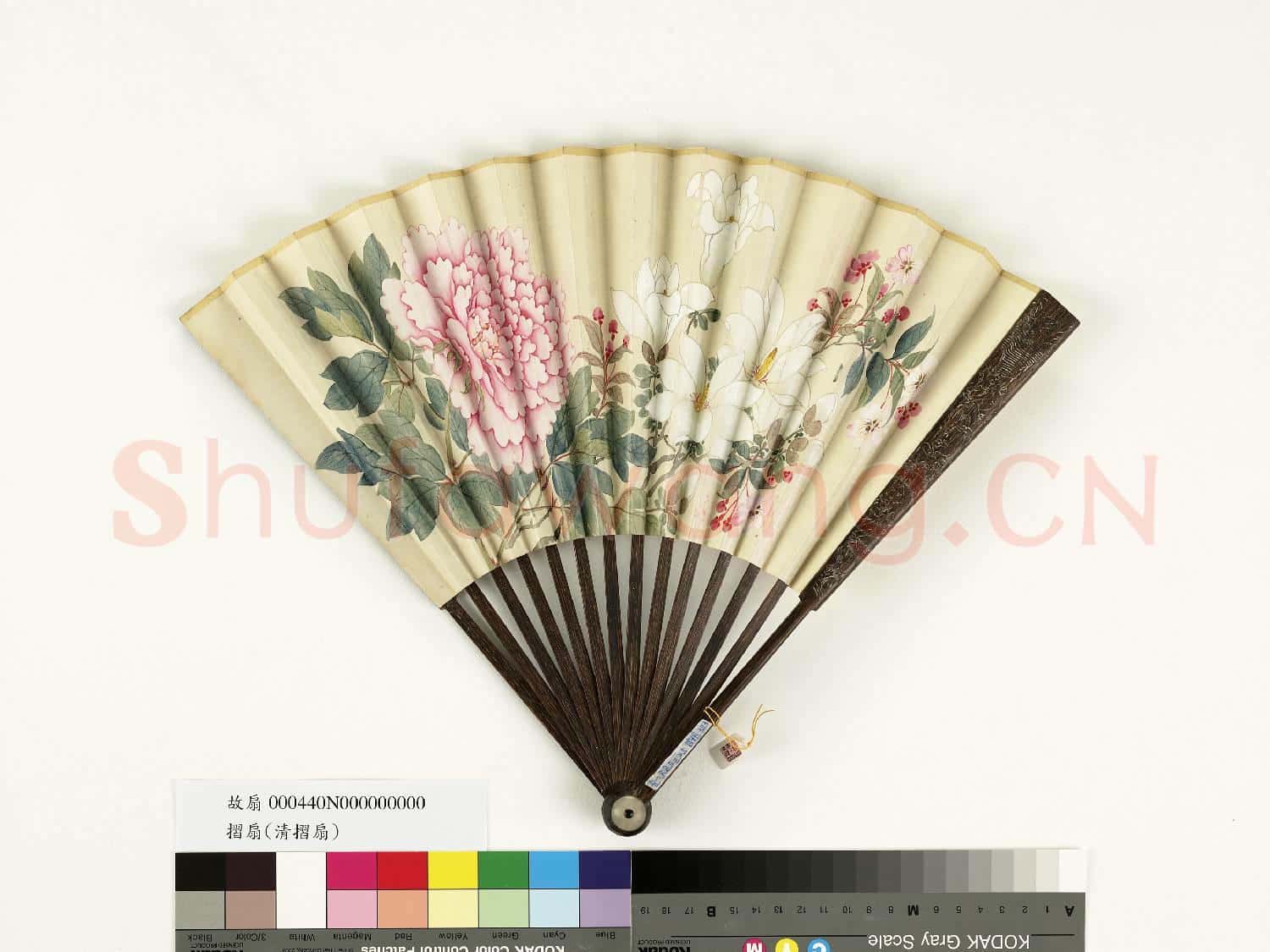 清人花卉 成扇