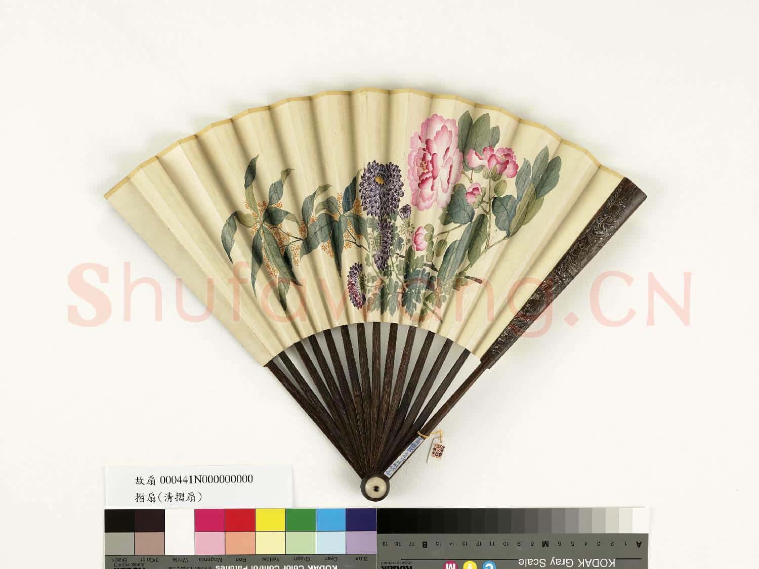 清人花卉 成扇
