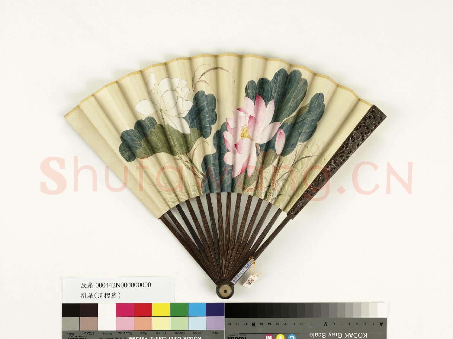 清人花卉 成扇