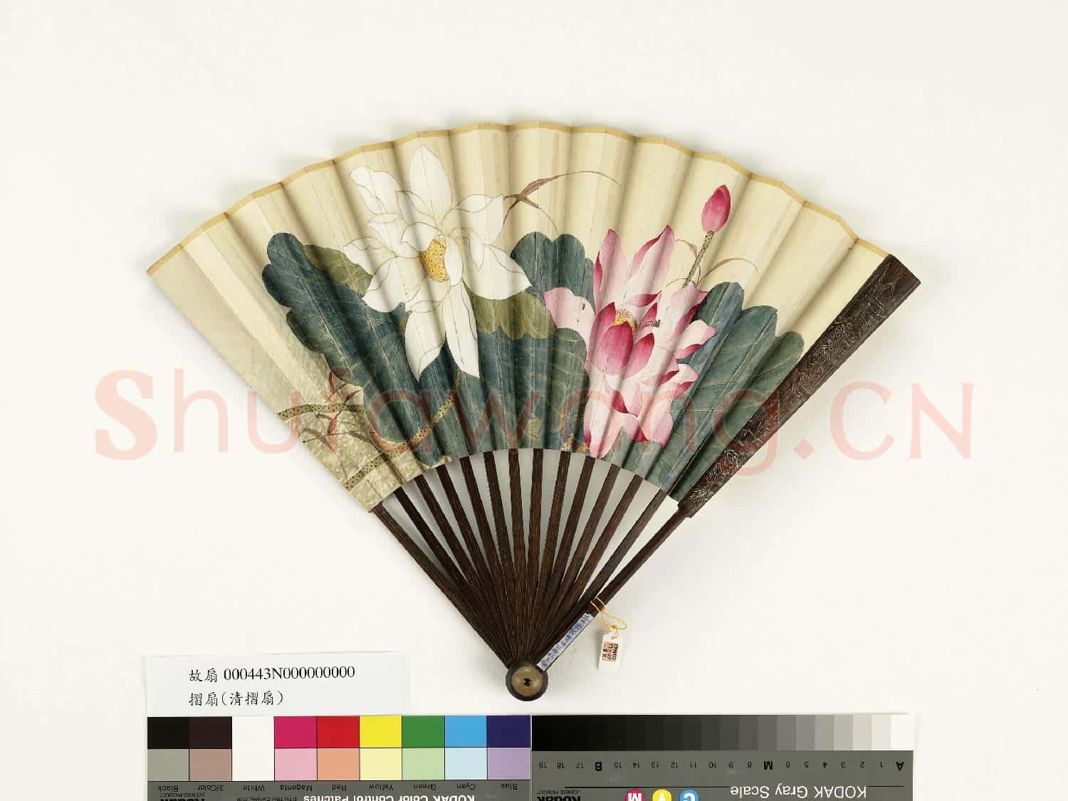 清人花卉 成扇