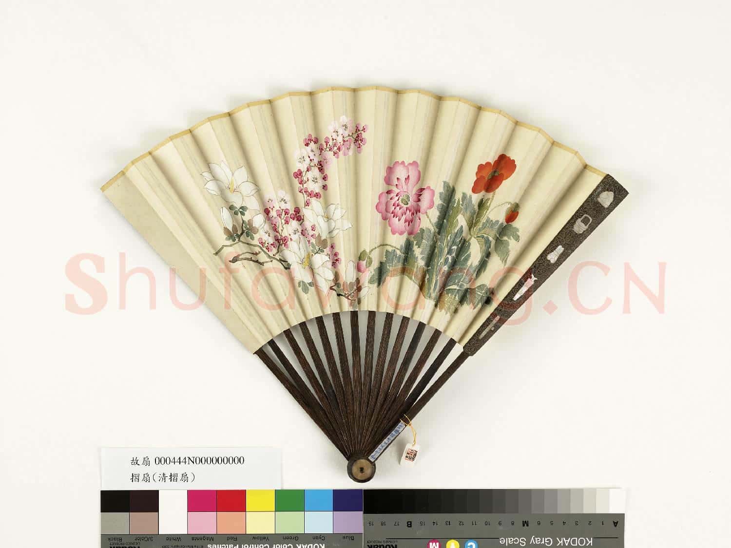 清人花卉 成扇