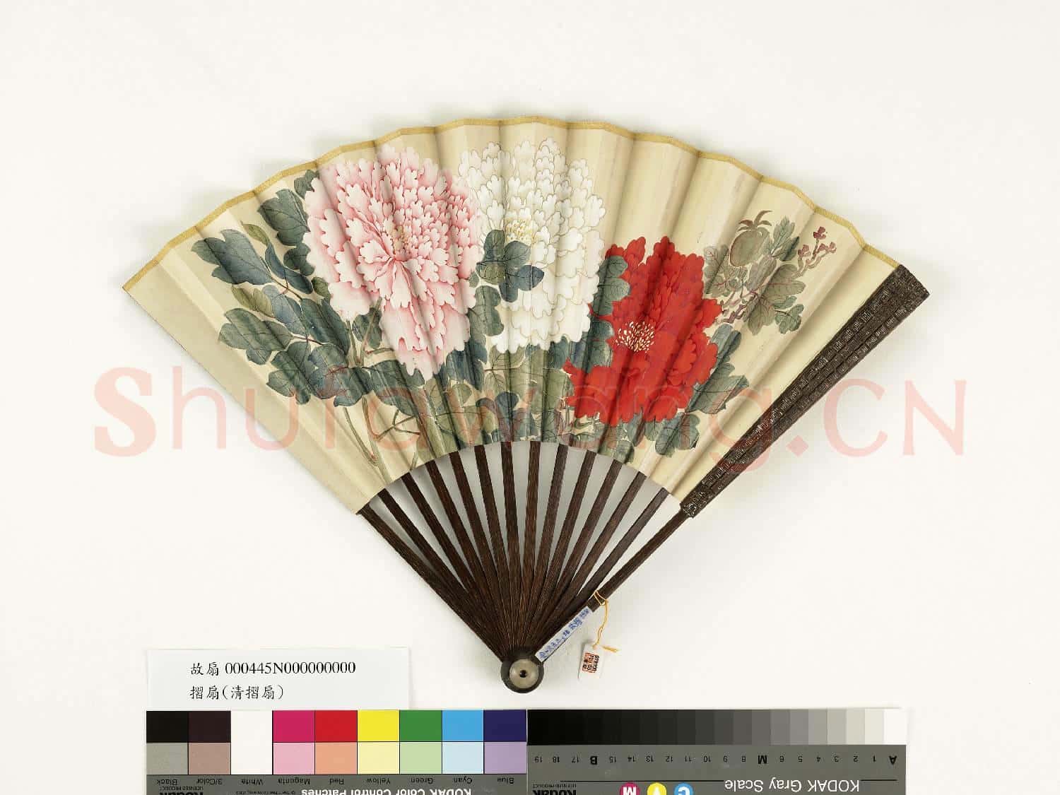 清人花卉 成扇