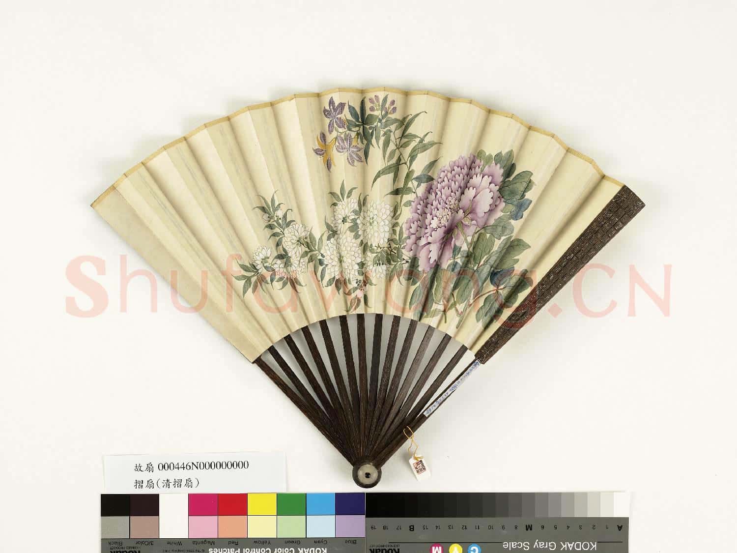 清人花卉 成扇