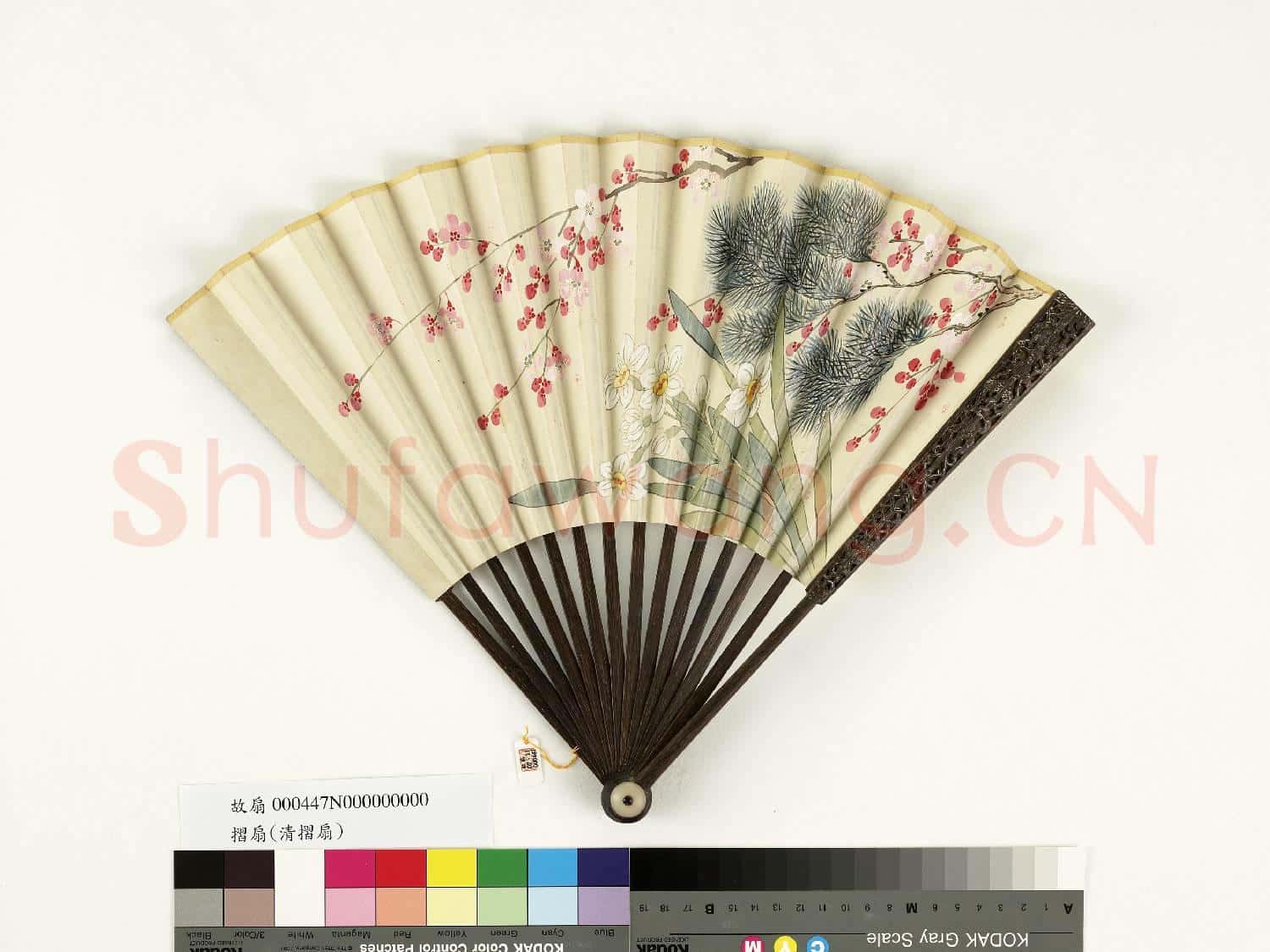 清人花卉 成扇