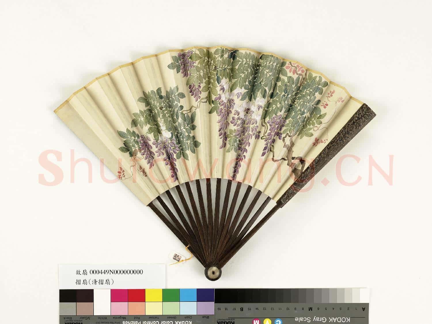 清人花卉 成扇