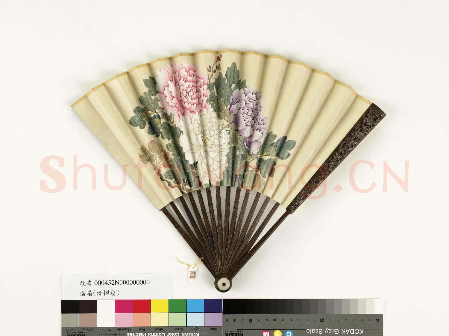 清人花卉 成扇