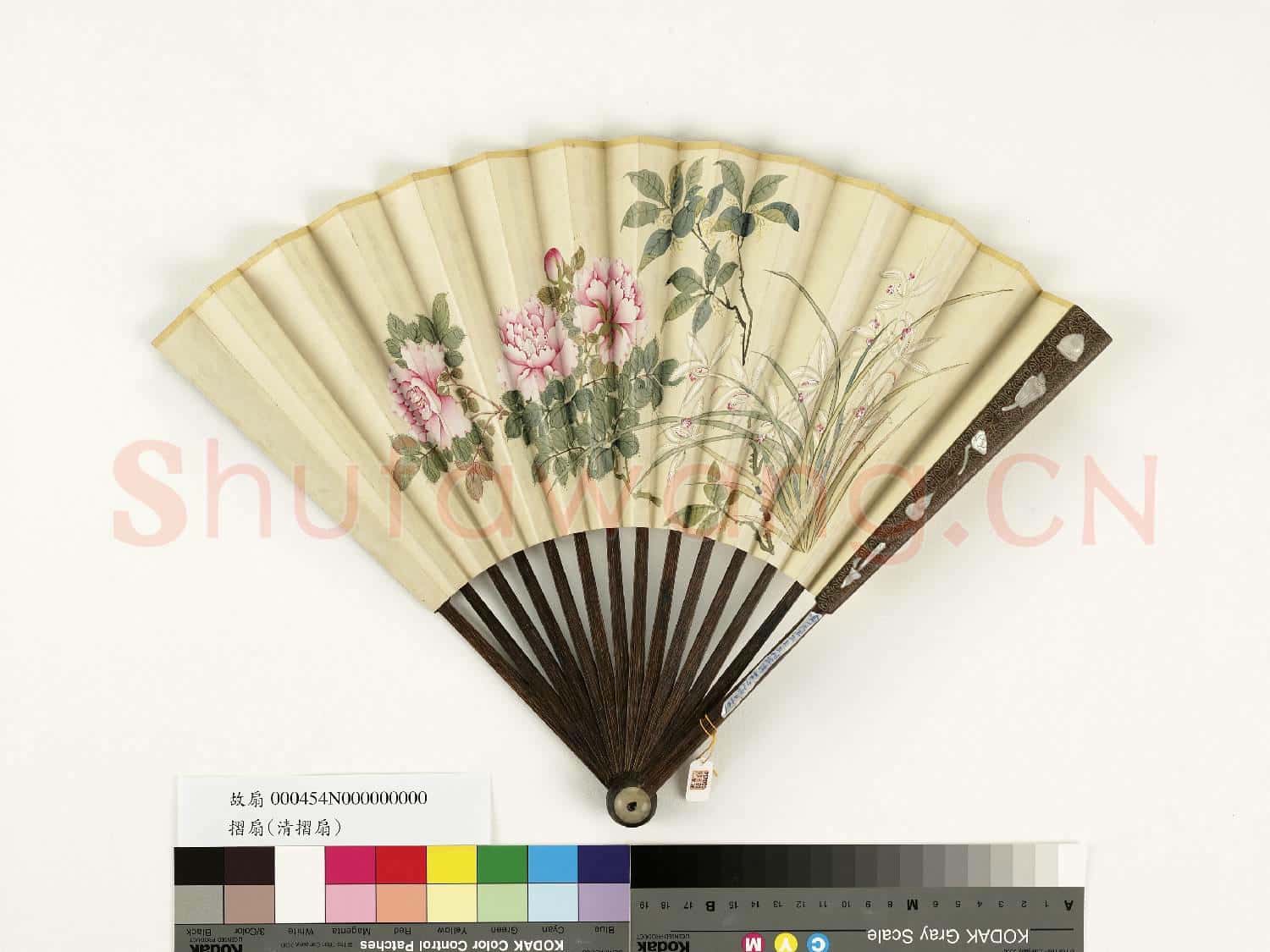 清人花卉 成扇