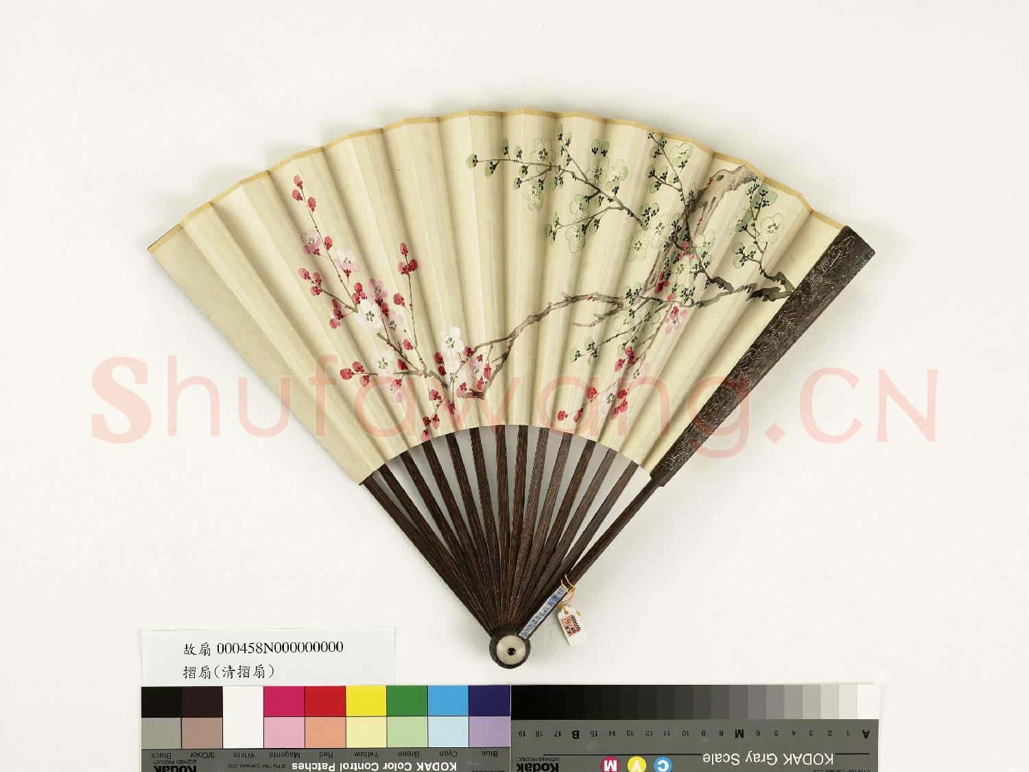 清人花卉 成扇