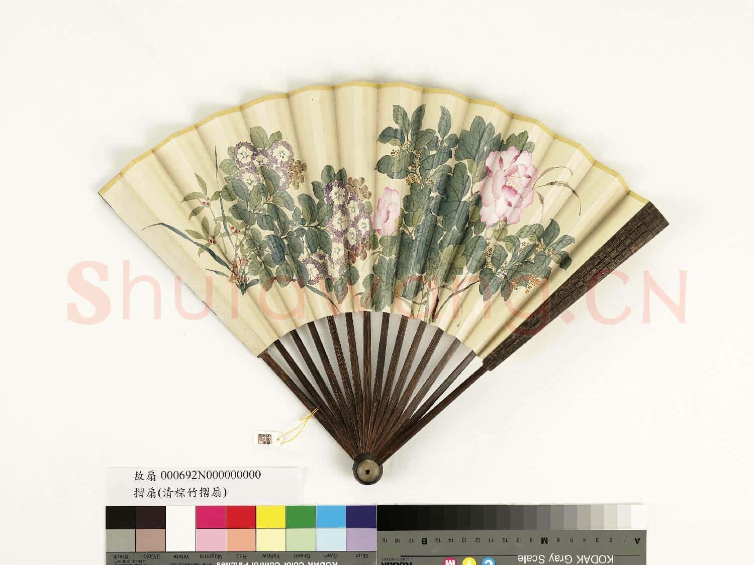 清人花卉 成扇