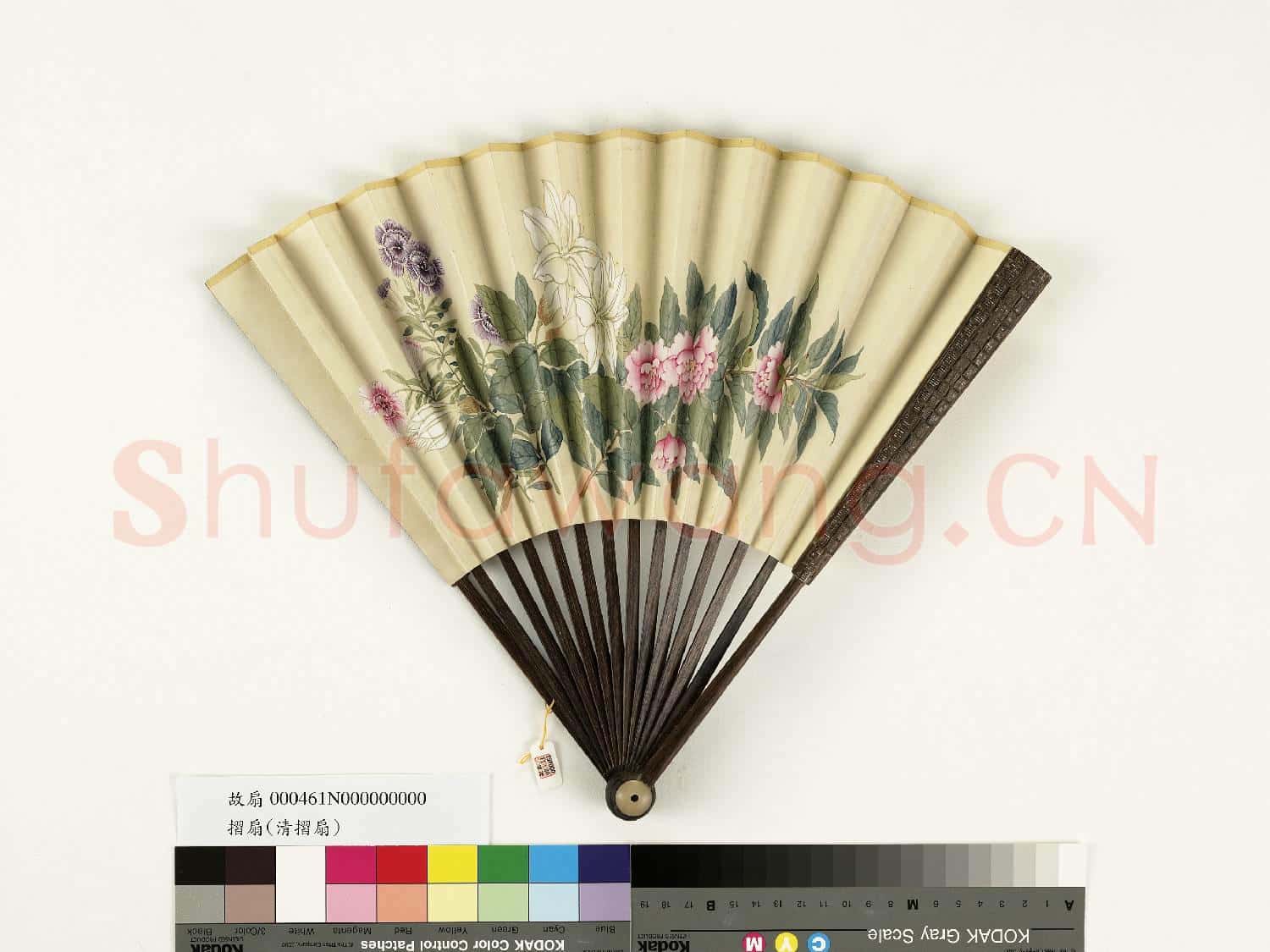 清人花卉 成扇