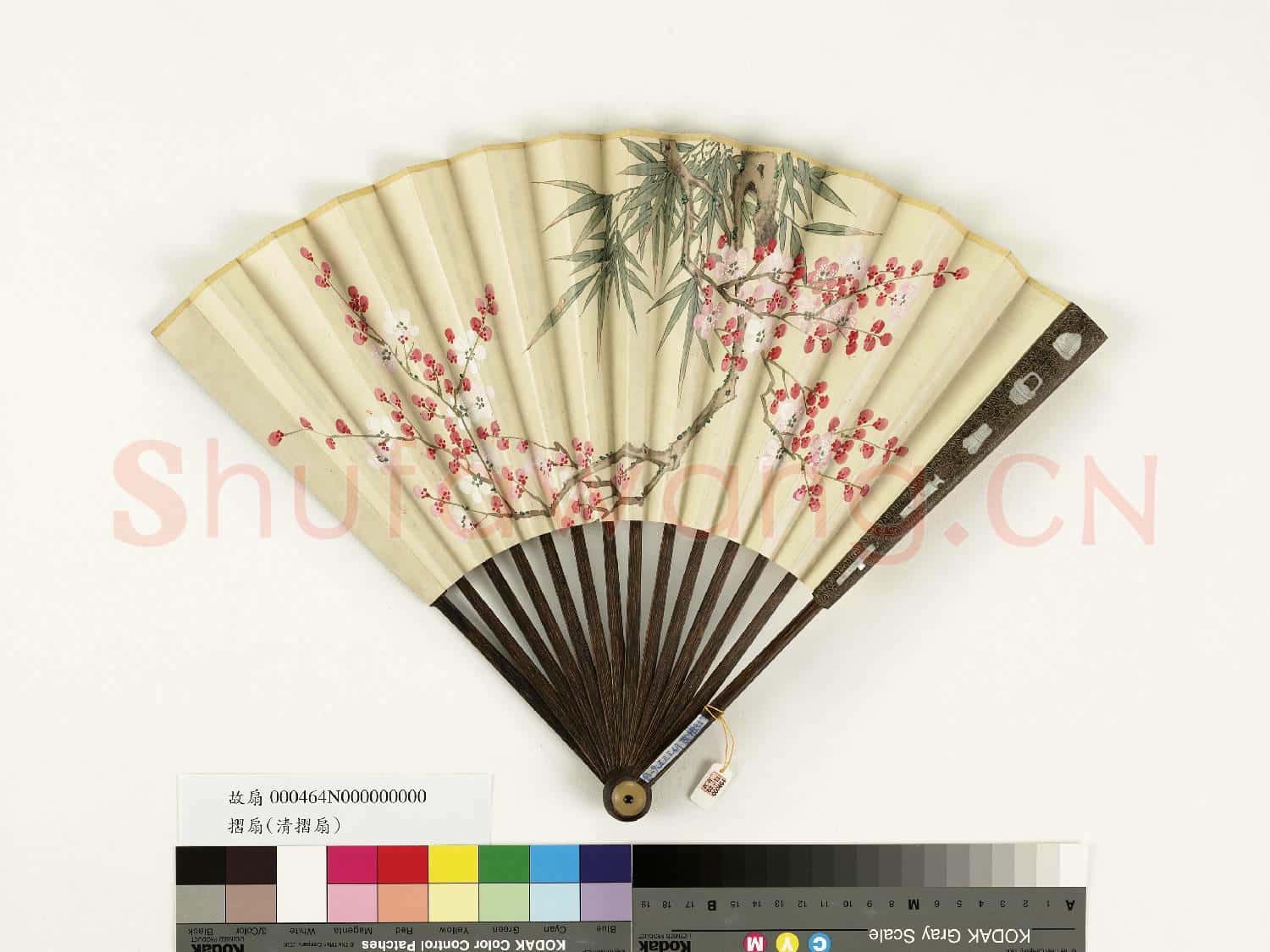 清人花卉 成扇