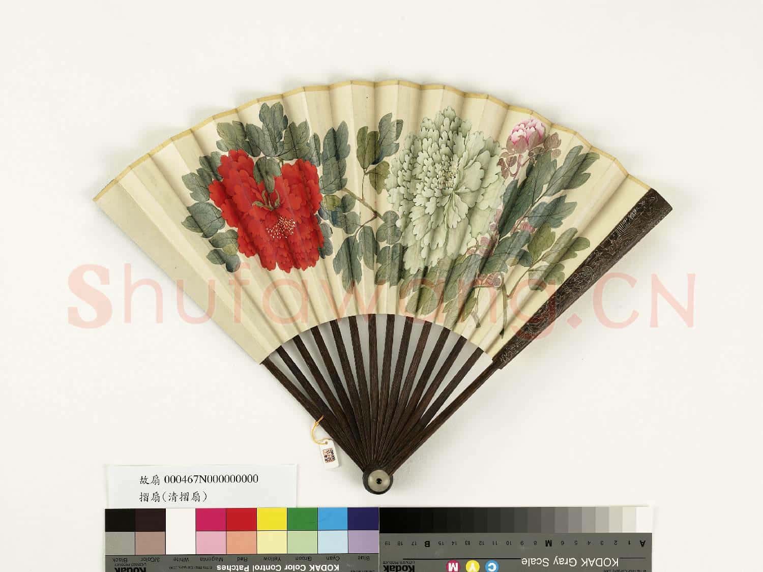 清人花卉 成扇