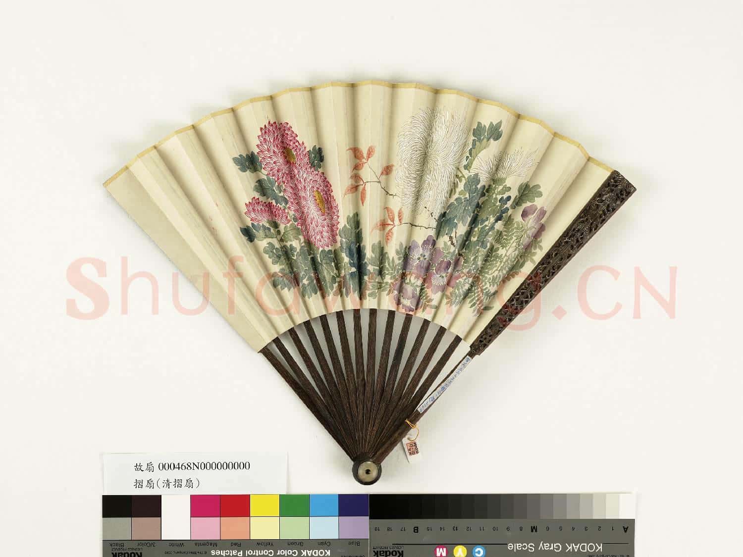 清人花卉 成扇