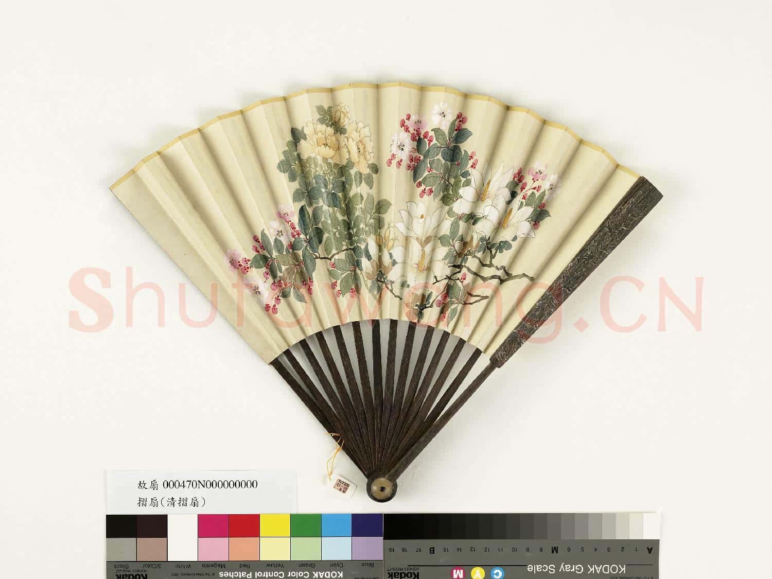 清人花卉 成扇