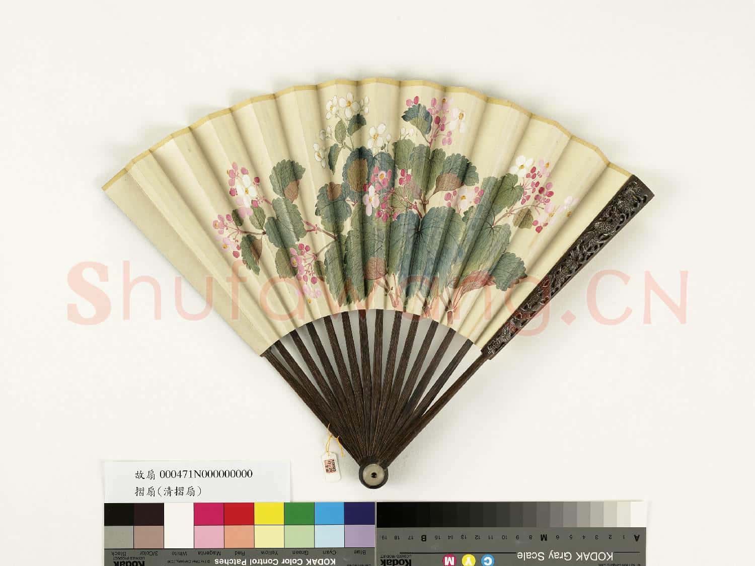 清人花卉 成扇