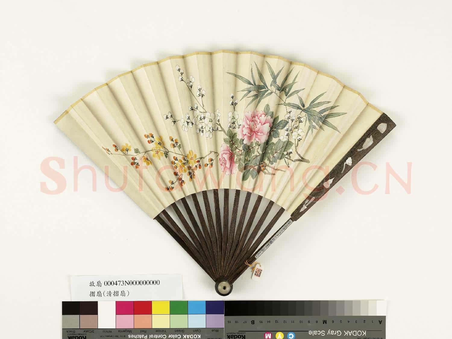 清人花卉 成扇