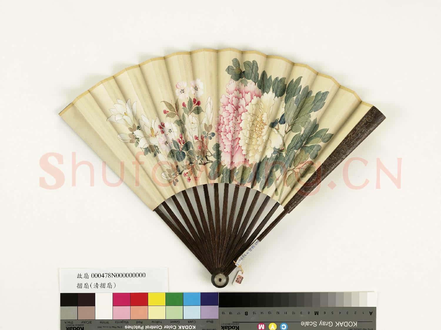清人花卉 成扇