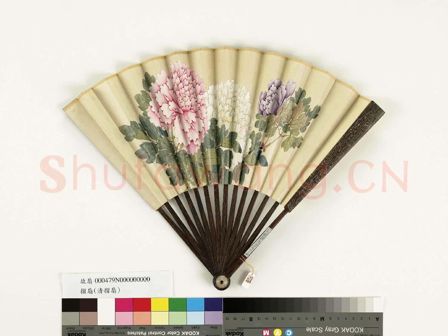 清人花卉 成扇
