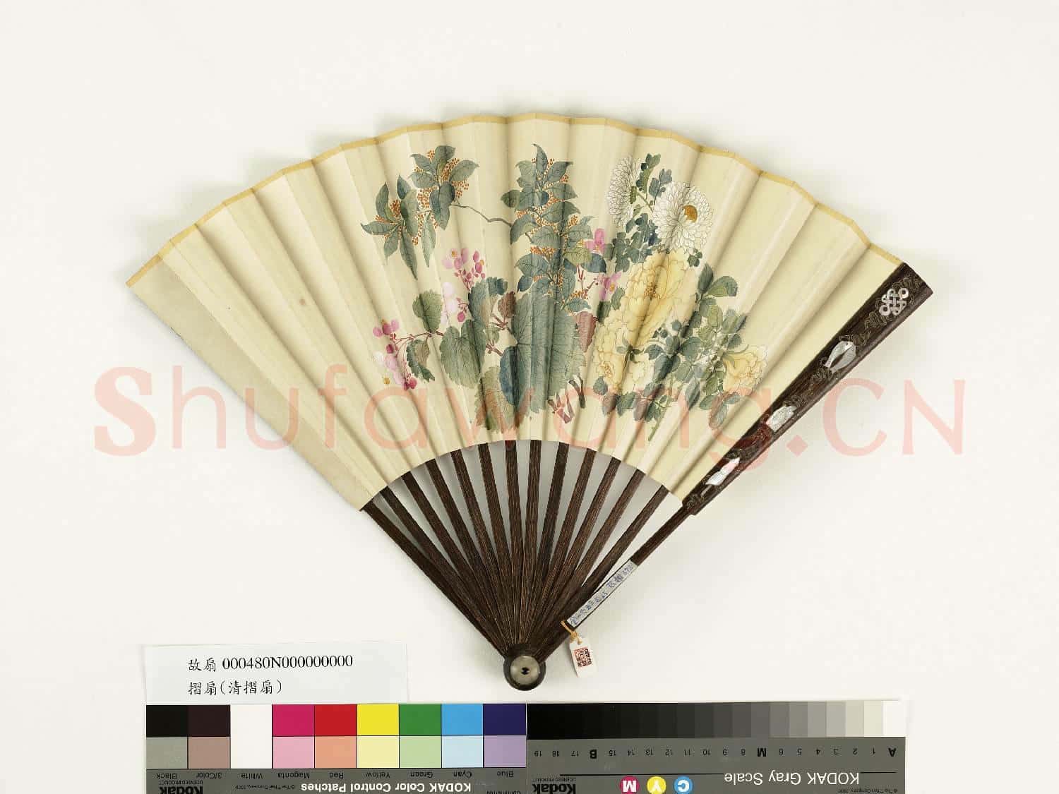 清人花卉 成扇