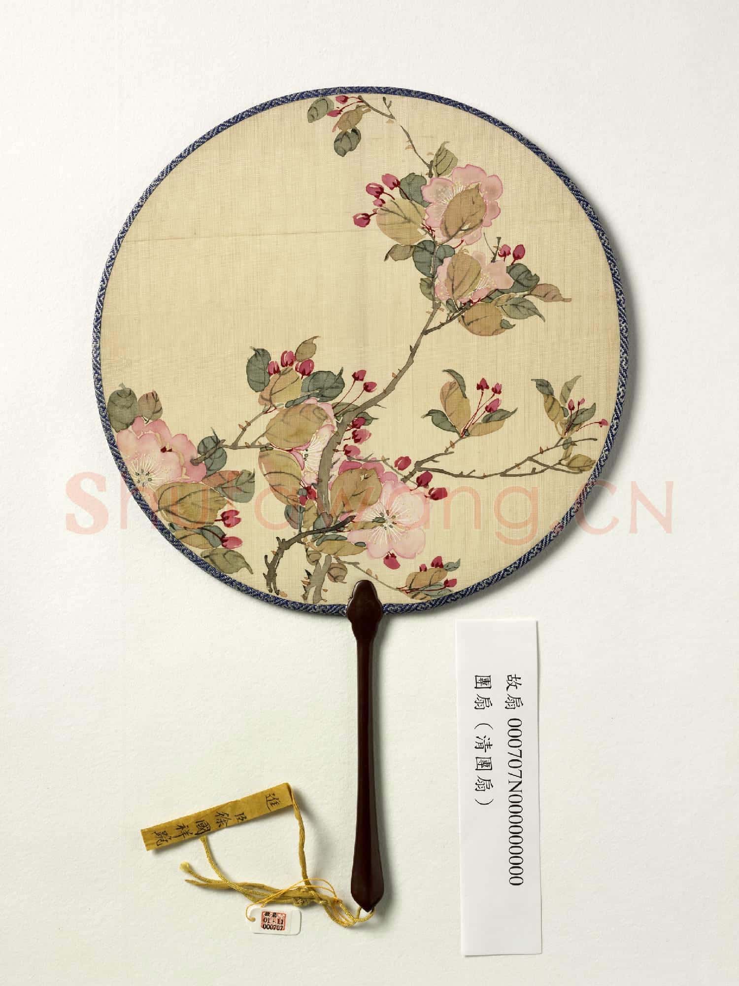 清人花卉 成扇