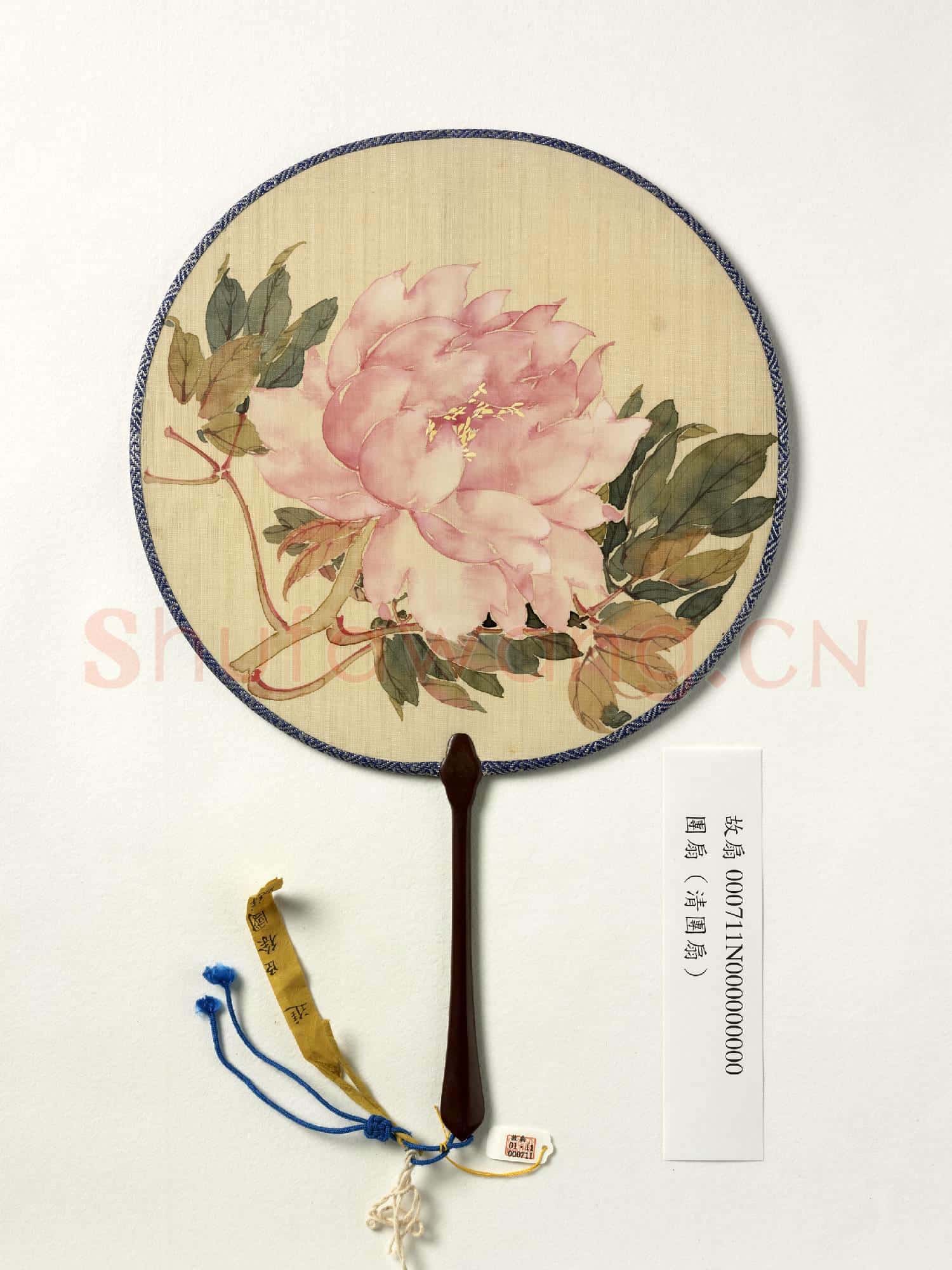 清人花卉 成扇
