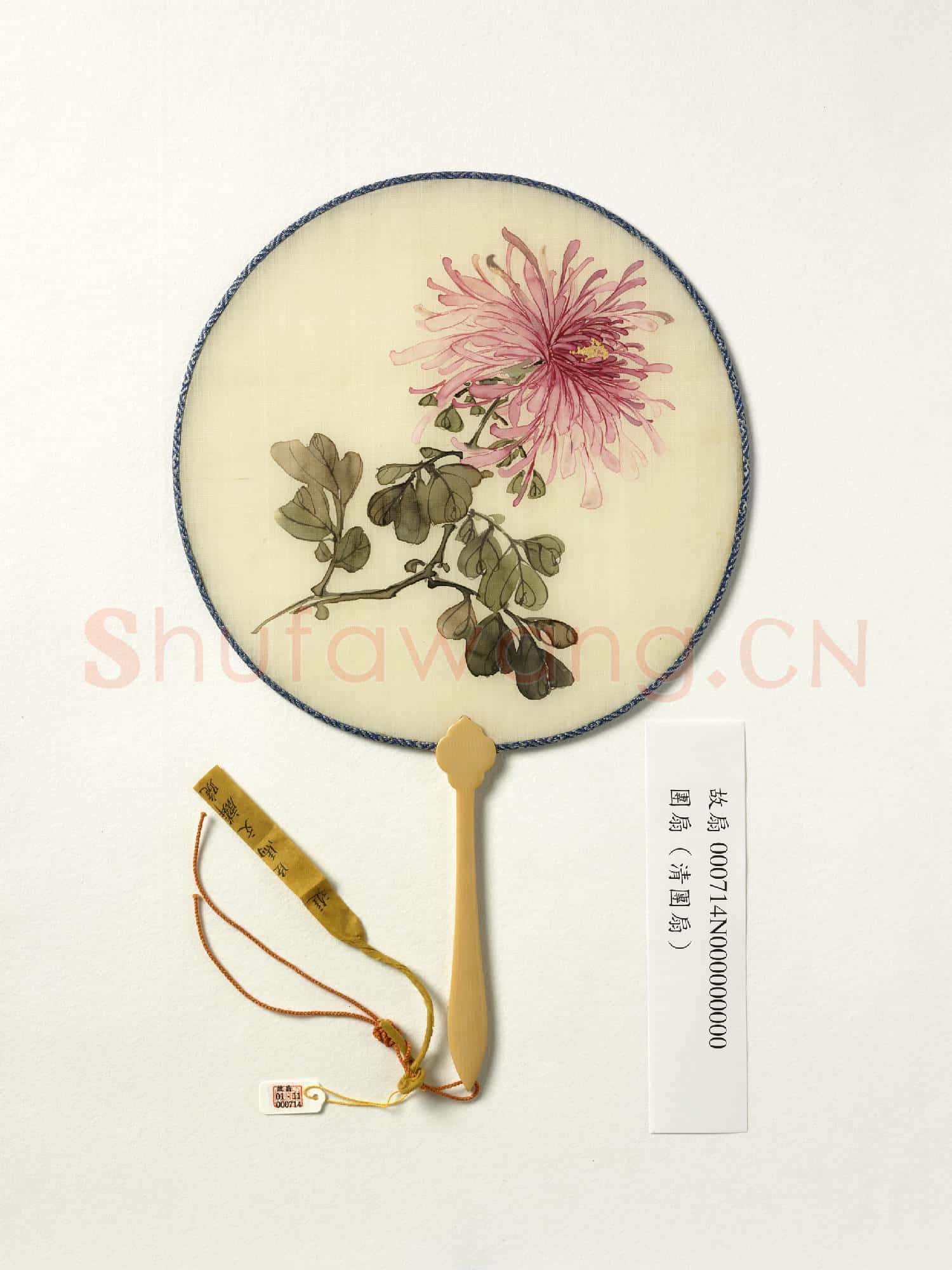 清人花卉 成扇