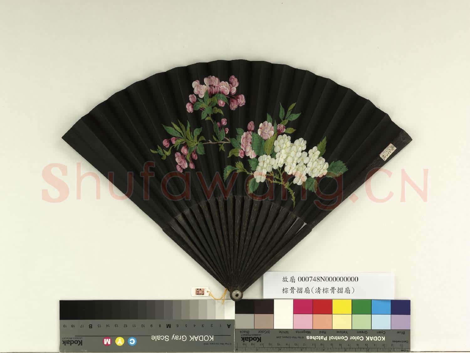 清倪承寬書鍾繇帖清人畫花卉 成扇