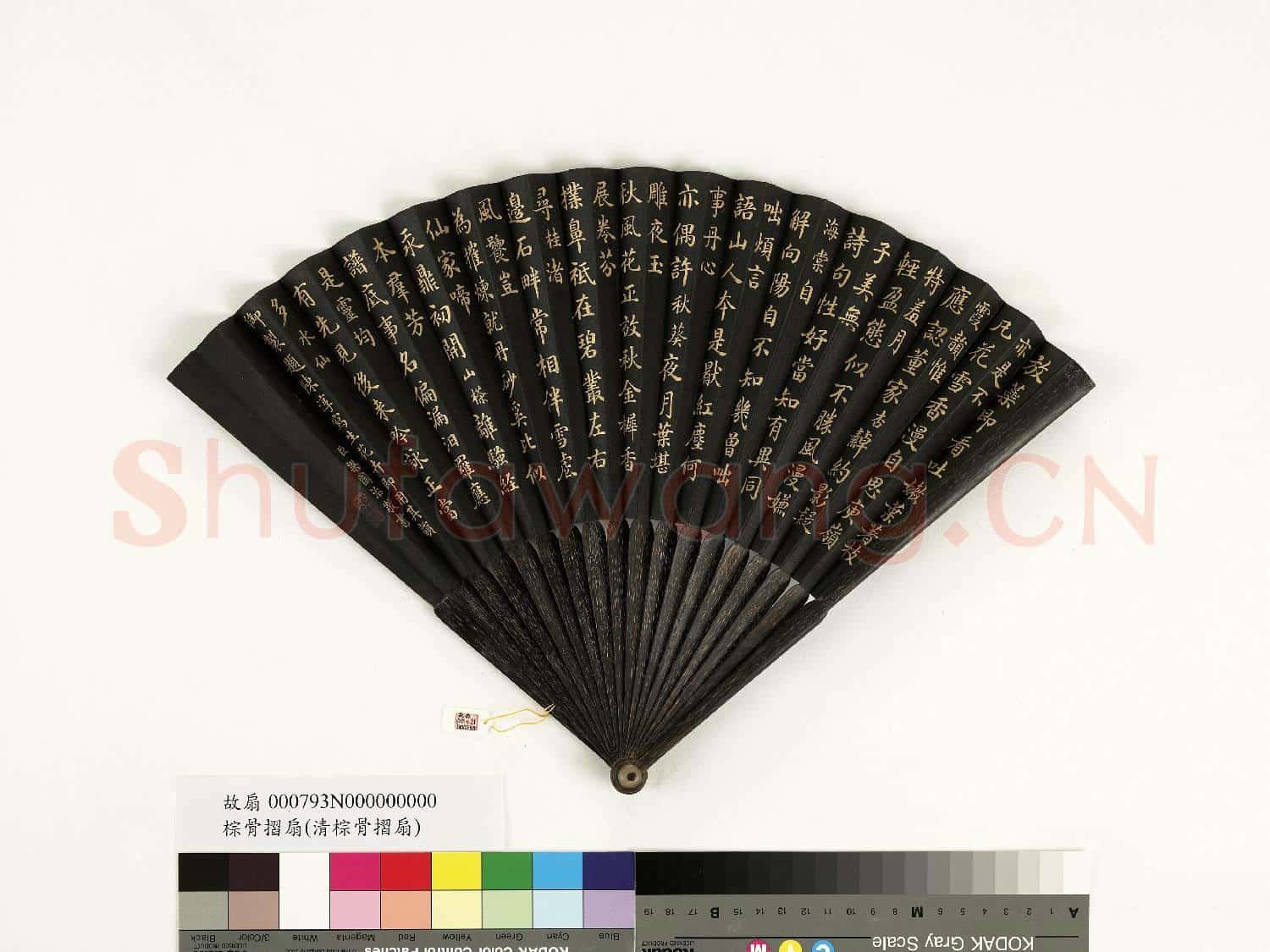 清梁國治楷書乾隆御製題陳淳寫生花卉即用其韻 成扇
