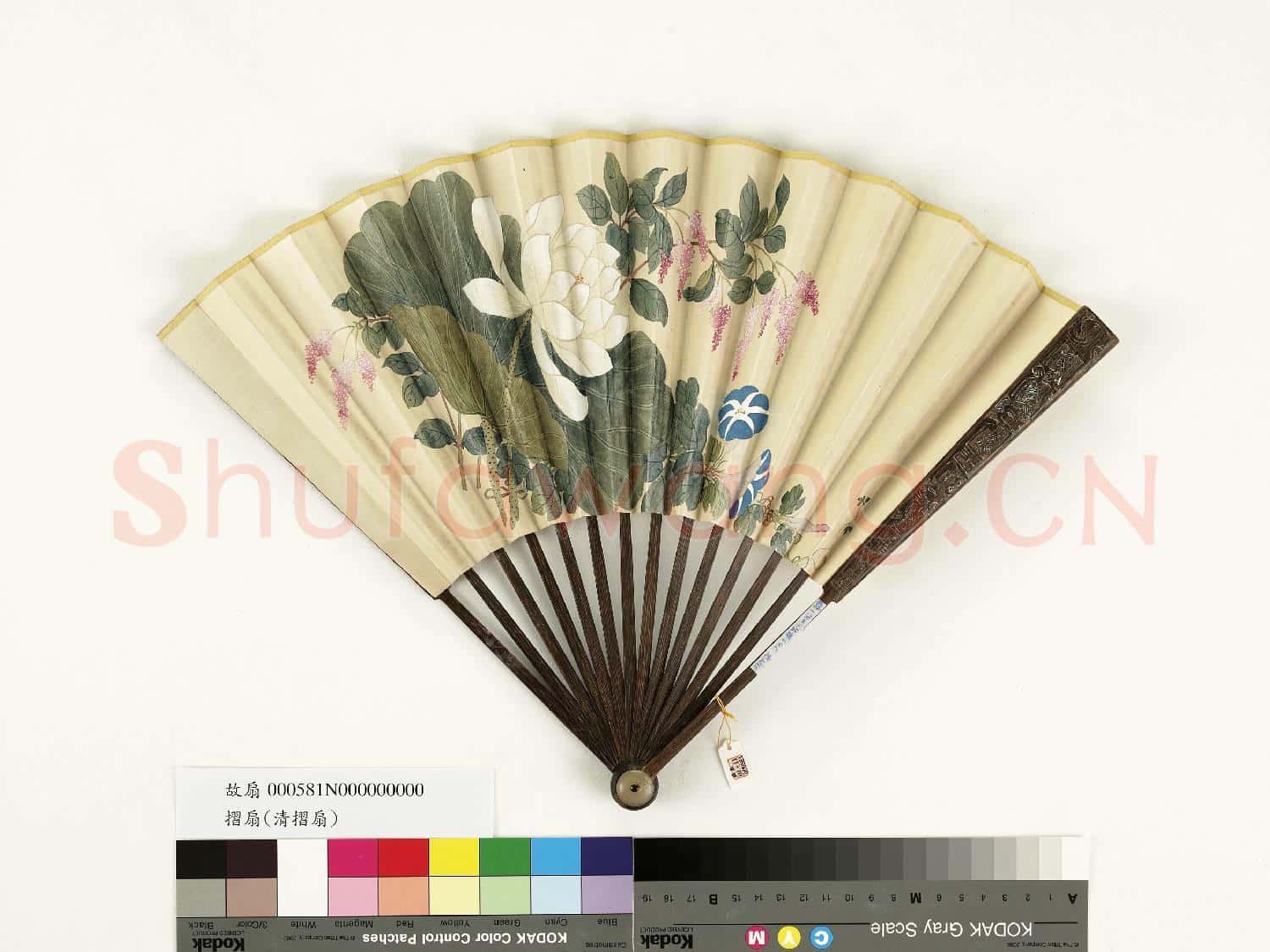 清人花卉 成扇