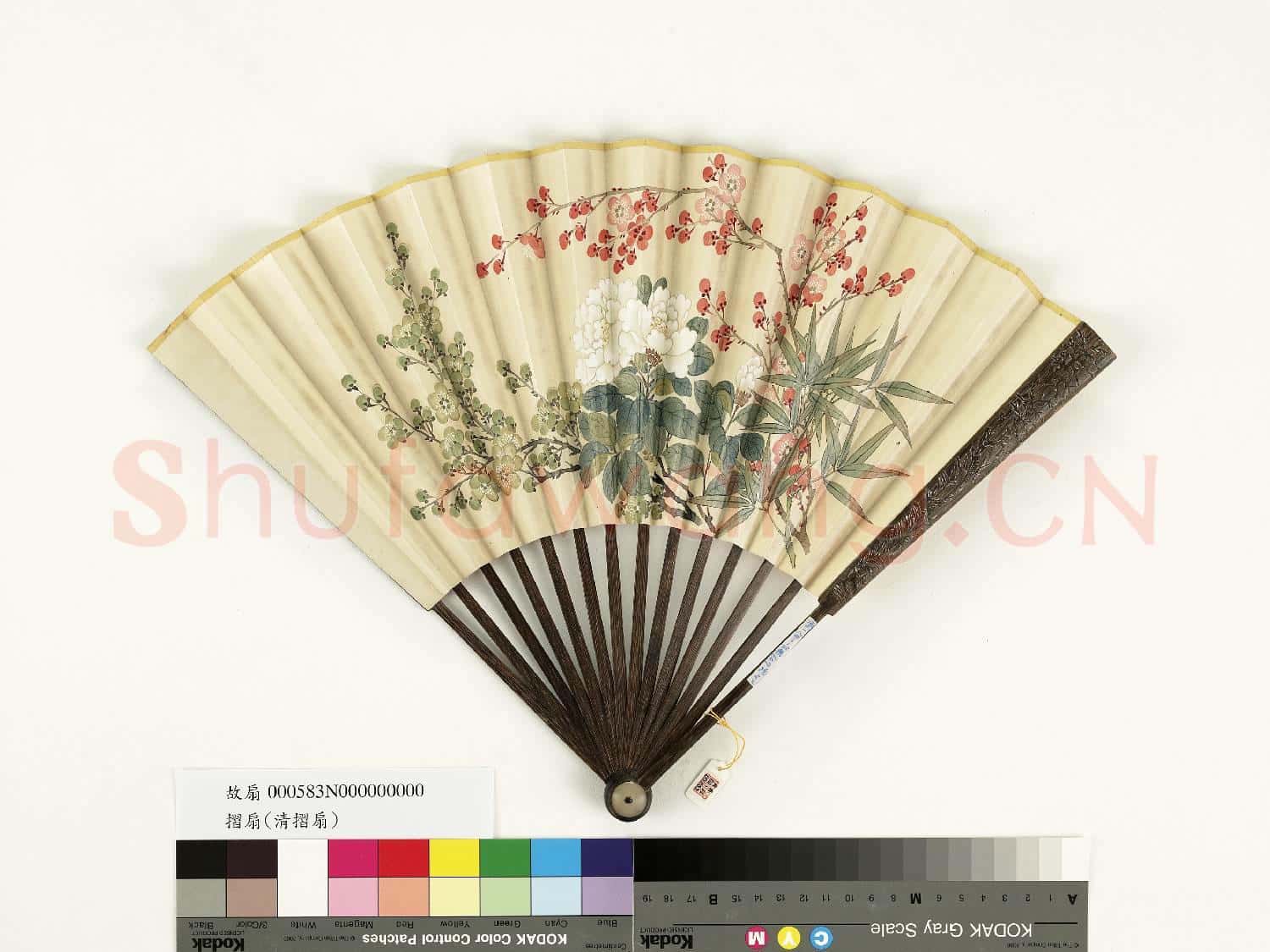 清人花卉 成扇