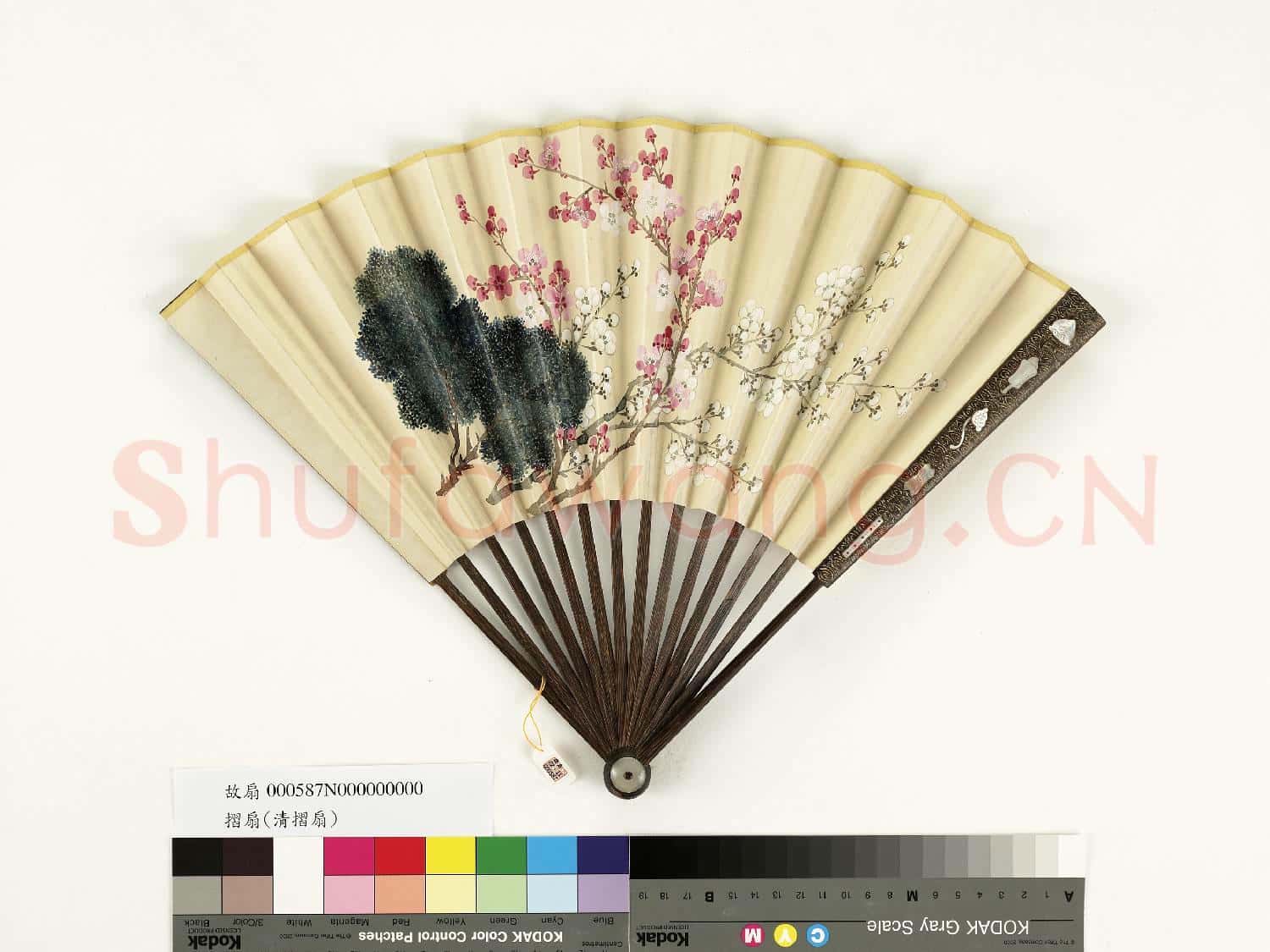 清人花卉 成扇