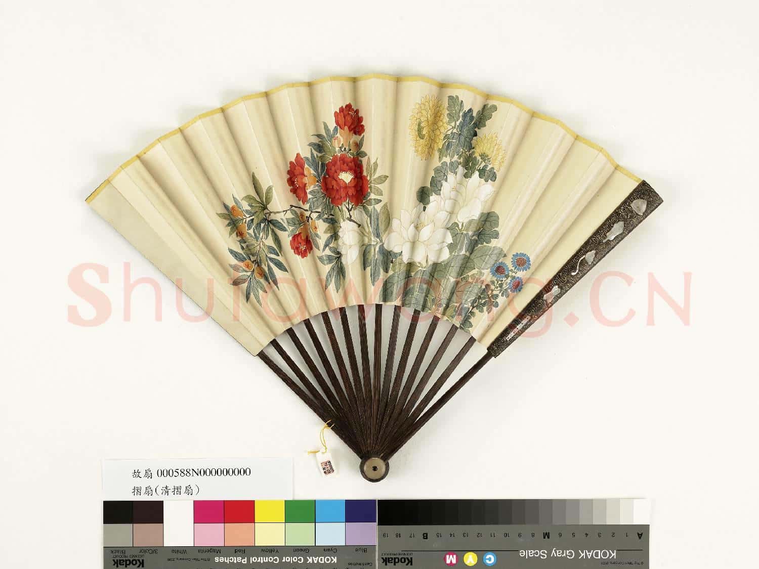 清人花卉 成扇