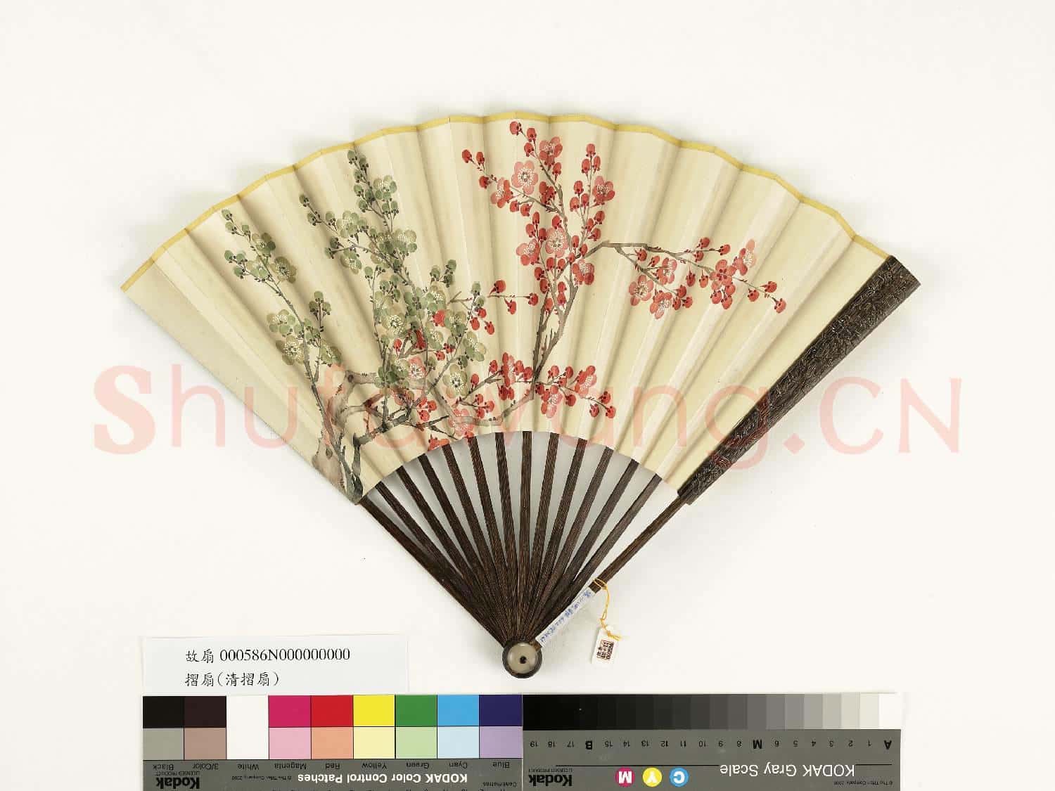 清人花卉 成扇