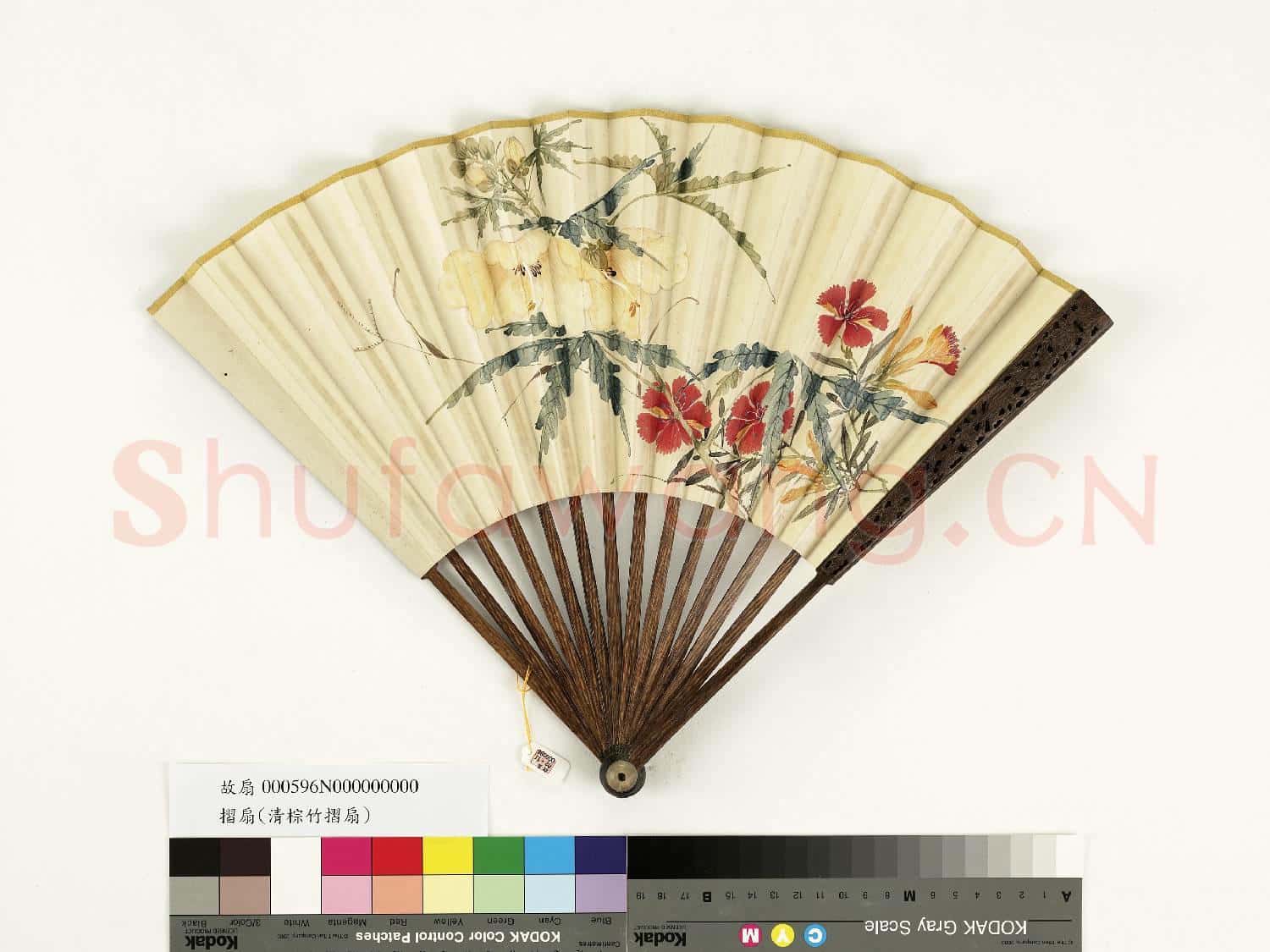 清人花卉 成扇
