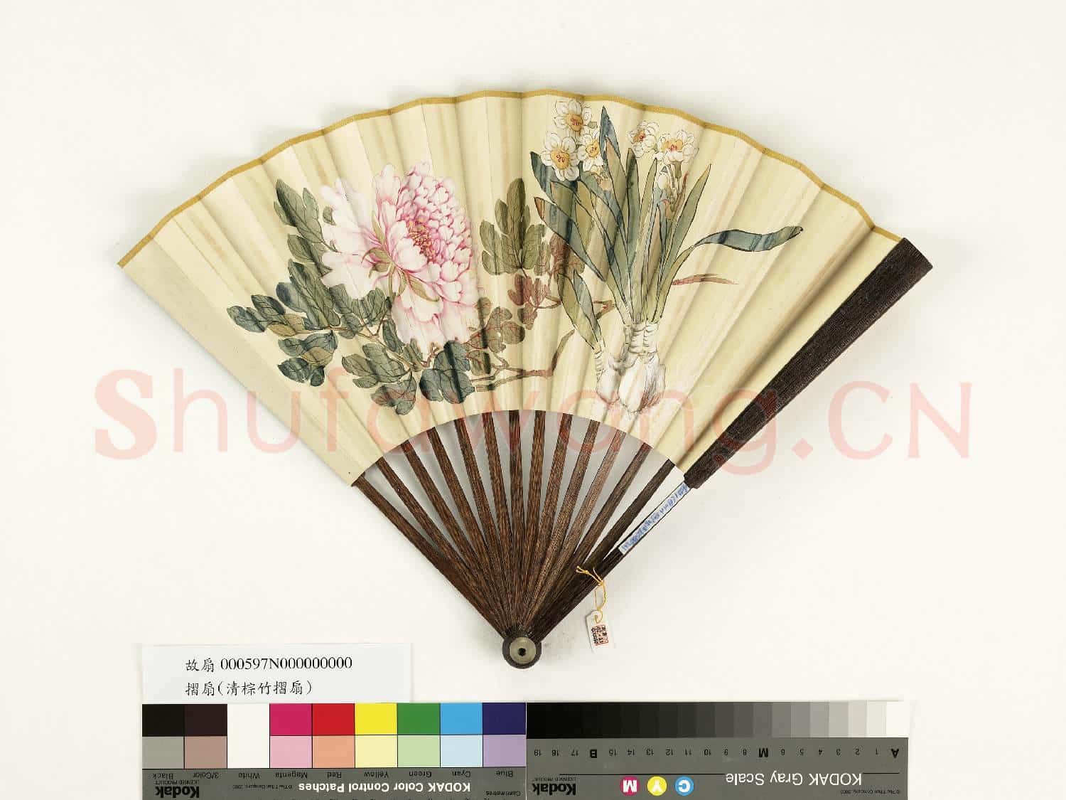 清人花卉 成扇