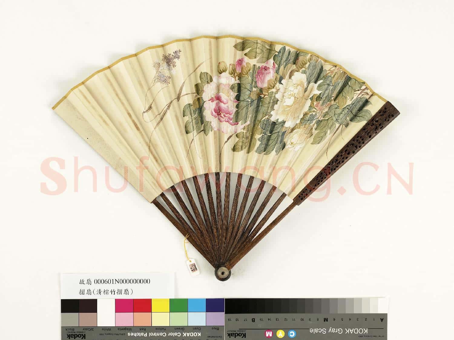 清人花卉 成扇