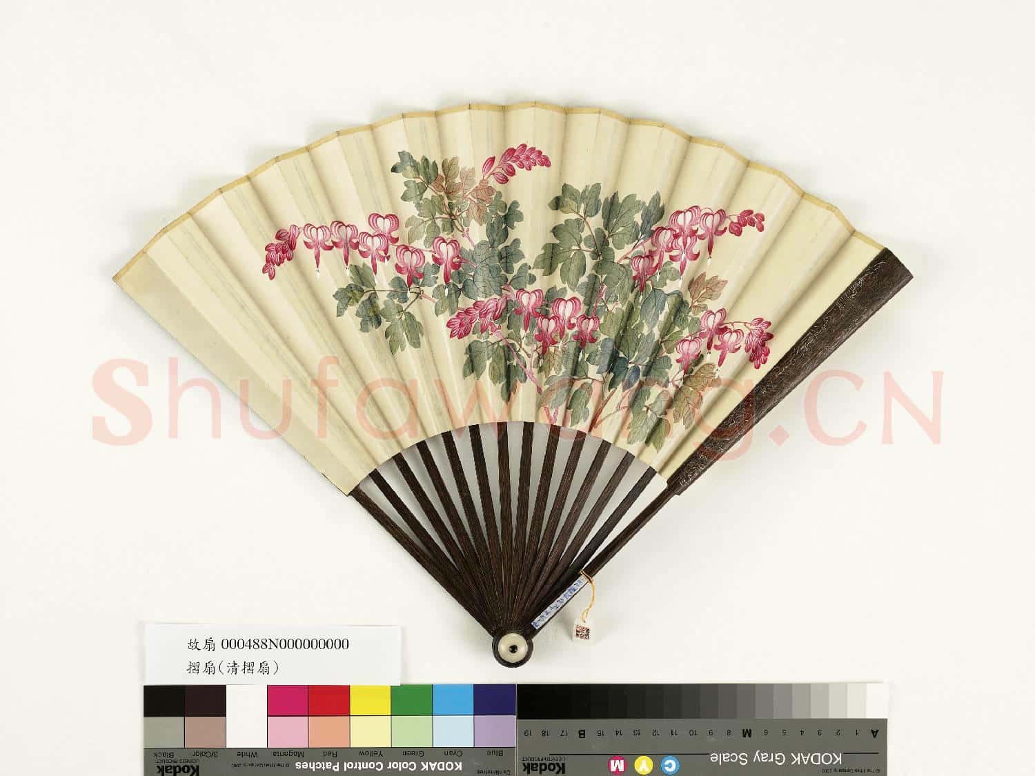 清人花卉 成扇