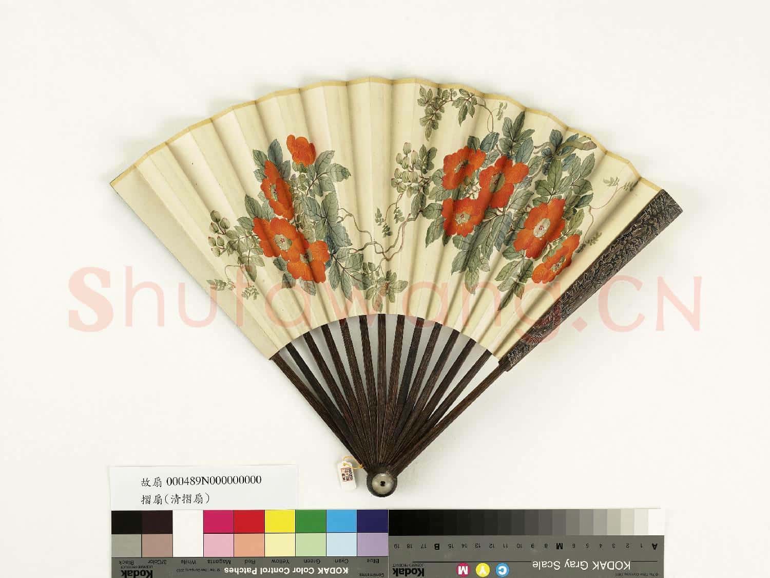 清人花卉 成扇